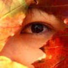 asianautumn2150