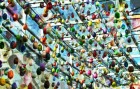 eastereggs4602