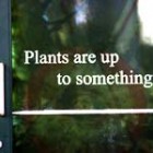 tgplantcon150