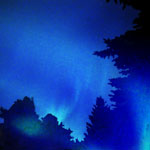 northern lights aurora borealis tree blue