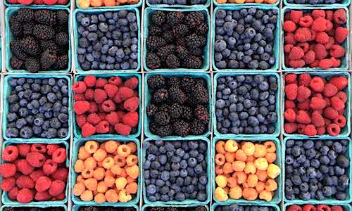 fruit vegetable cognitive decline pints of assorted berries