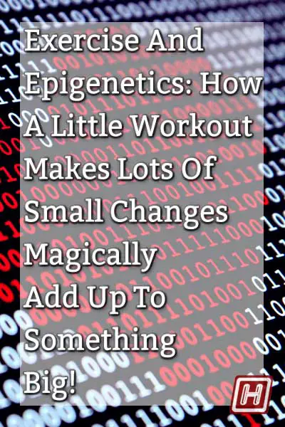 Exercise And Epigenetic Magic: How A Little Workout Makes Lots Of Small Changes Add Up To Something Big!