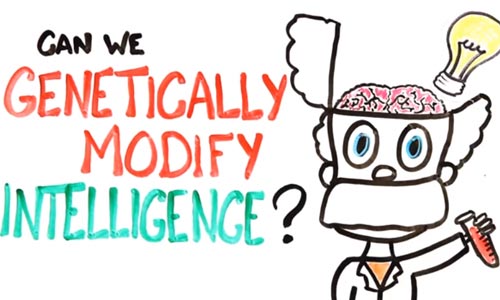 Video: ASAPScience Asks, Can We Genetically Improve Intelligence?