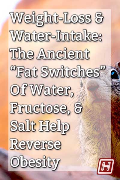 lose weight drink water desert rodent
