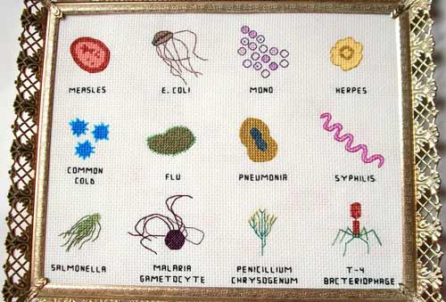 etsy alicia watkins 8x10 cross-stitch of 12 microbes