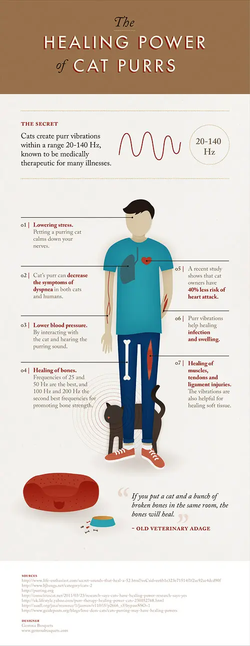 gemma busquets healing power of cats infographic top purring frequency 20-140 Hz 500x1291