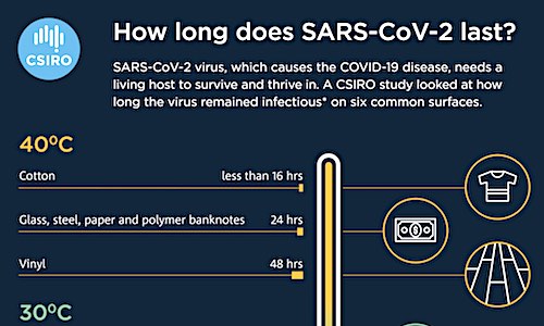 Coronavirus On Surfaces: It May Stick Around Longer Than You Think. -Especially This Winter. +Infographic