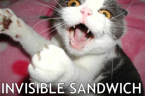 cat eating invisible sandwich meme original