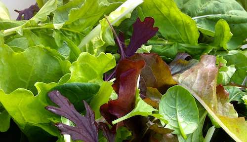 dark leafy greens brain health mixed salad greens