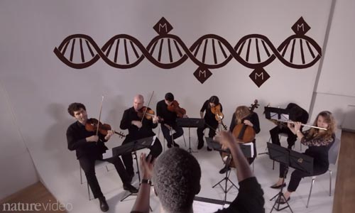 nature magazine compares human epigenome to playing a symphony