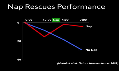 sara mednick 2002 performance over workday nap vs. no nap
