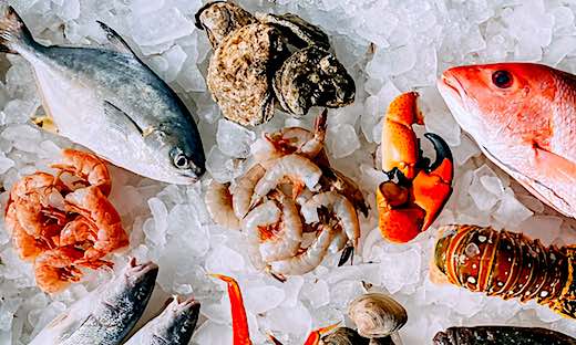 seafood pfas assortment on ice