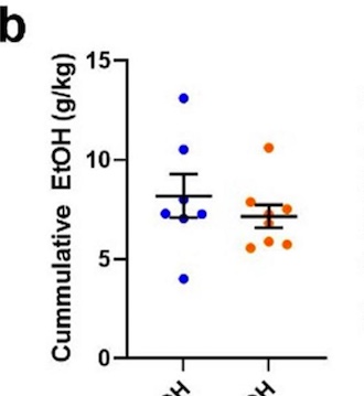 alcohol alzheimers wake forest figure 1, graph b