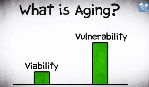 PhDComics And Dr. JP Magalhaes Ask: What Is Aging (And Can We Do Anything About It)?