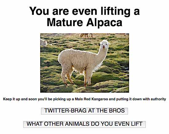 what animal do you even lift mature alpaca